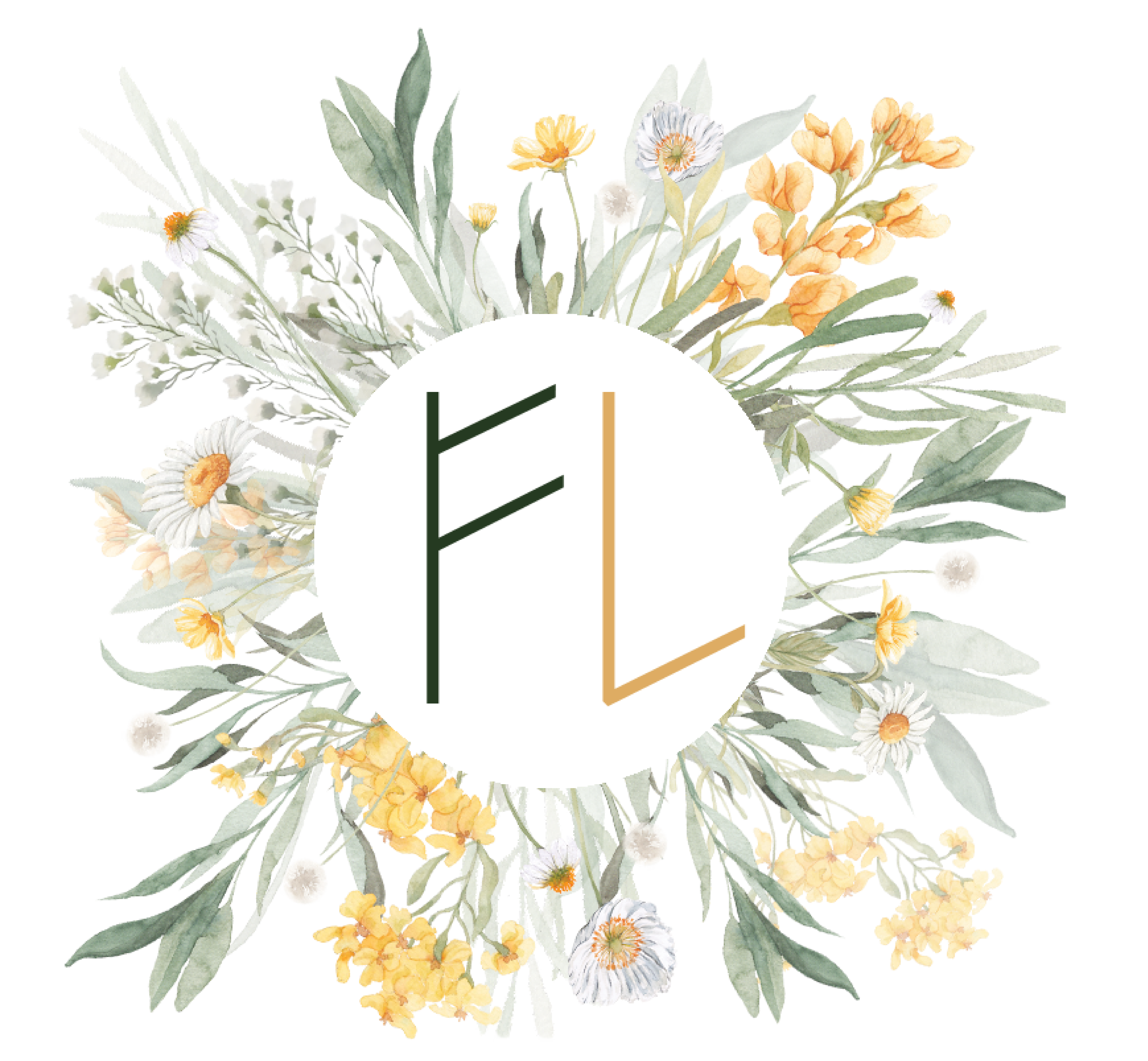 Farah Latifi Studio
