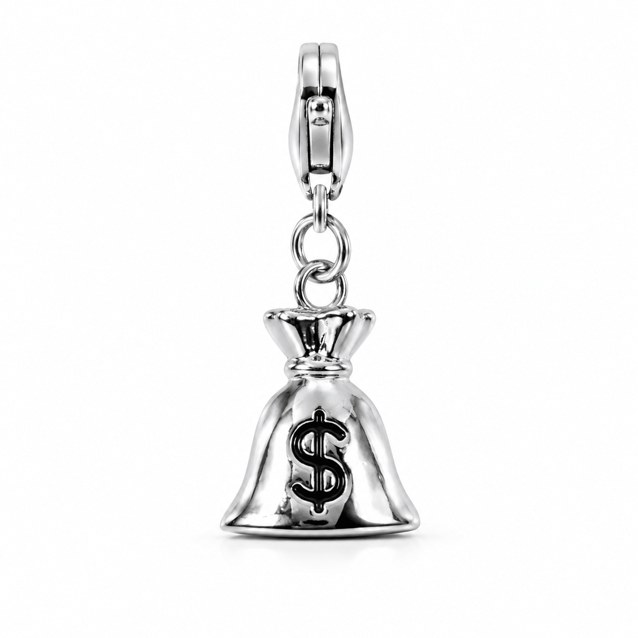 Money Bag (Steel)