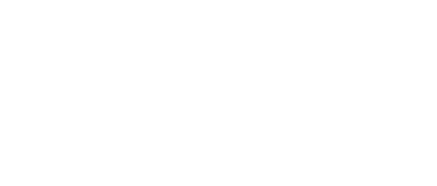 Pasaroly by Fibiii Art Studio