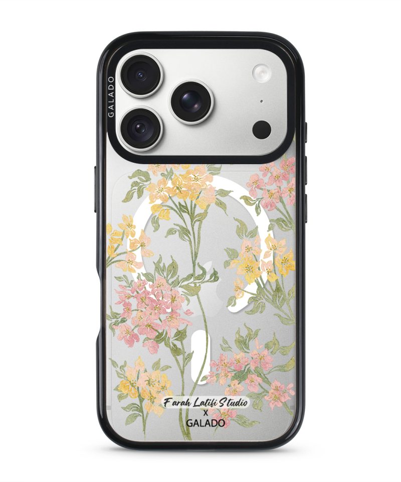 Farah Latifi – Whimsy