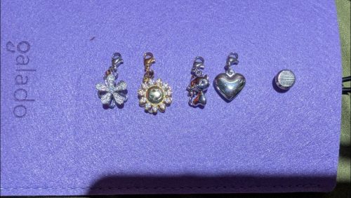 Clip-On Charm (360 Silver Flower) photo review