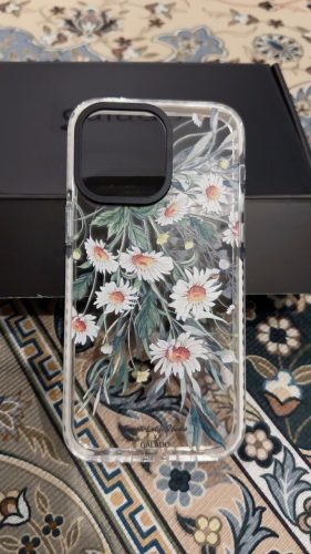 Farah Latifi - Daisies photo review
