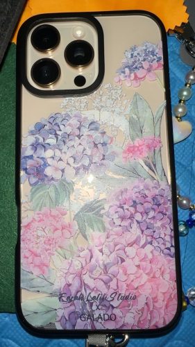 Farah Latifi - Hydrangeas photo review