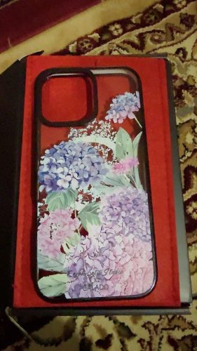 Farah Latifi - Hydrangeas photo review