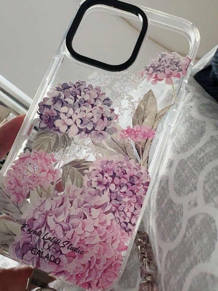 Farah Latifi - Hydrangeas photo review