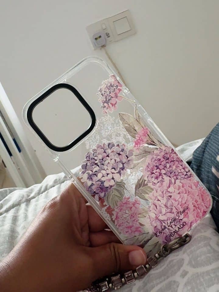 Farah Latifi - Hydrangeas photo review
